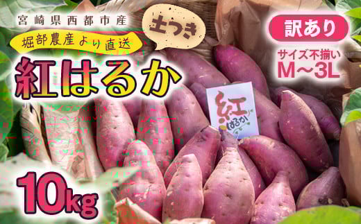 
            【堀部農産】熟成紅はるか10kg 5㎏×2 訳あり さつまいも 芋 甘藷 ＜1-269＞【先行予約】
          