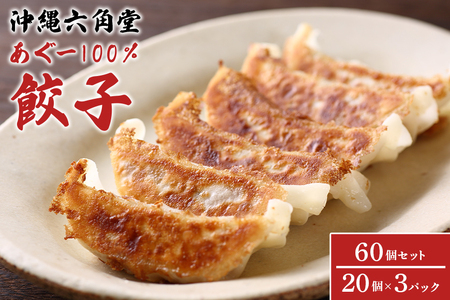 餃子 60個 ( 20個 × 3パック ) セット あぐー 沖縄