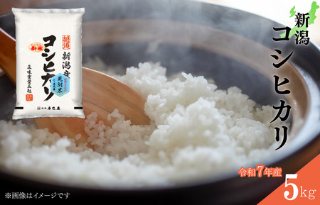 新潟コシヒカリ 令和7年産 精米5kg