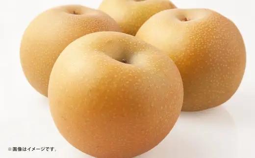 【 3ヶ月定期便 】 梨の定期便 4 ～ 12玉 約3kg （ 豊水 → 秋月 → 新高 ） 梨 ナシ なし 果物 くだもの フルーツ 果実 果汁 果肉 甘み ジューシー 旬の果物 国産 熊本県産 定