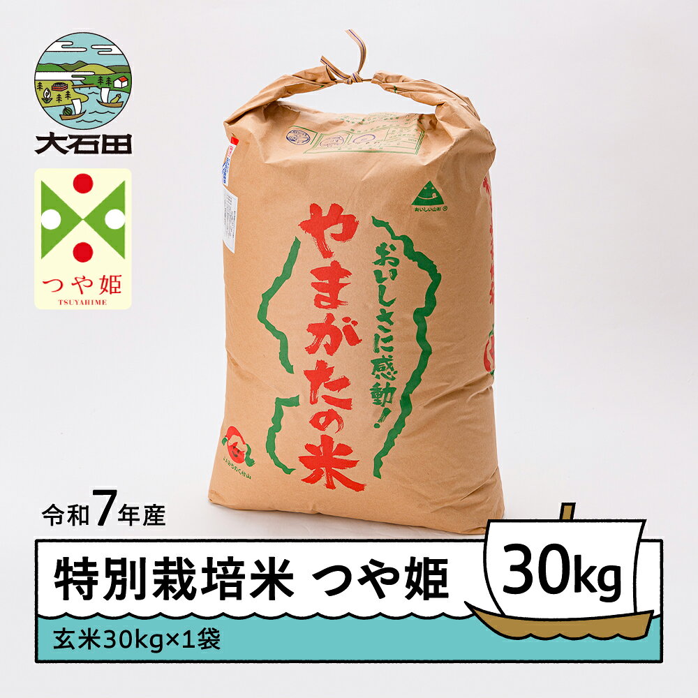 【ふるさと納税】 米 令和7年産 つや姫 30kg 大石田町産 特別栽培米 玄米 送料無料※沖縄・離島への配送不可 大石田 ja-tsgxa30