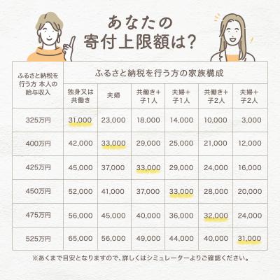 ふるさと納税 加西市 オールチョッパー 掃除ブラシ・レシピ付き フードプロセッサー みじん切り [No5698-0739] |  | 01
