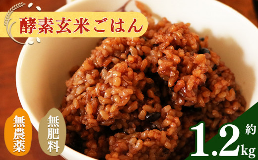 酵素玄米 ごはん ( 長岡式 )  約 1.2kg  |  米 こめ コメ 玄米 ごはん げんまい ゲンマ イ 酵素玄米  発酵 美容 健康 酵素 主食 パウチ 冷凍 ヘルシー 米  エミニニ オーガ