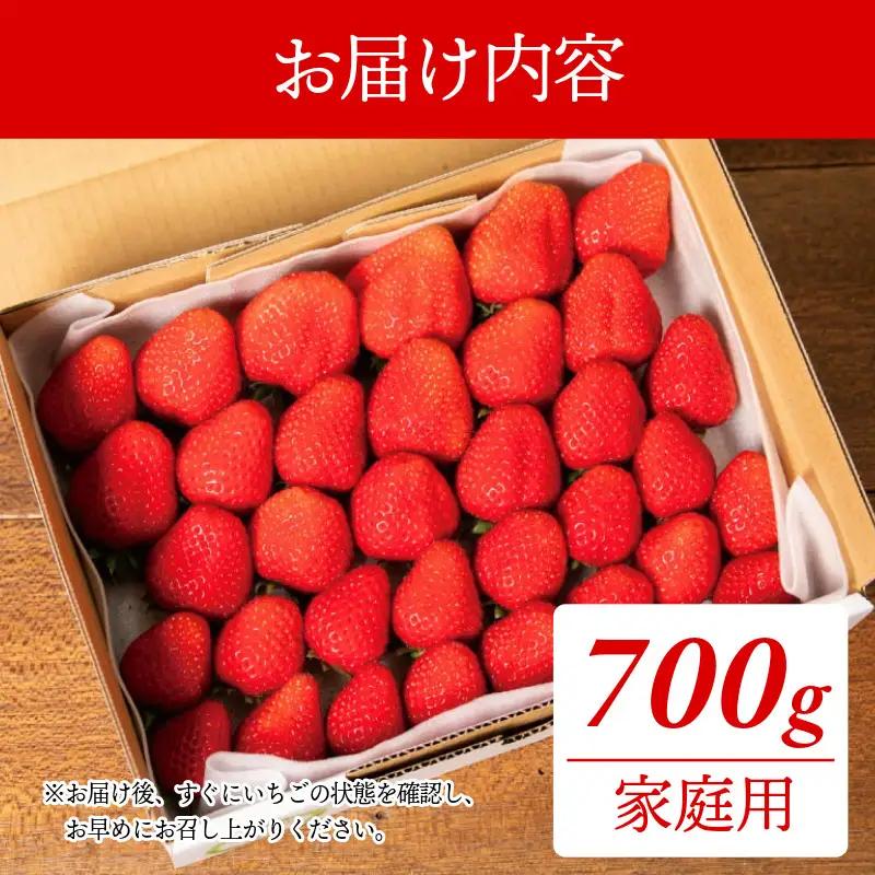 訳あり オーガニック いちご 700g 家庭用 《1月末から5月発送》 有機JAS認証 ORGANIC 甘い 苺 果物 フルーツ 産地直送 新鮮 ストロベリー ジャム スムージー 期間限定 徳島