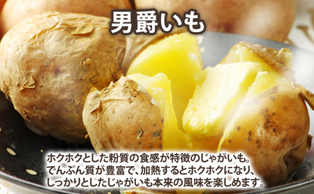 【2026年秋冬発送】じゃがいも 食べ比べセット 男爵3kg＋インカのめざめ2kg【約5kg】