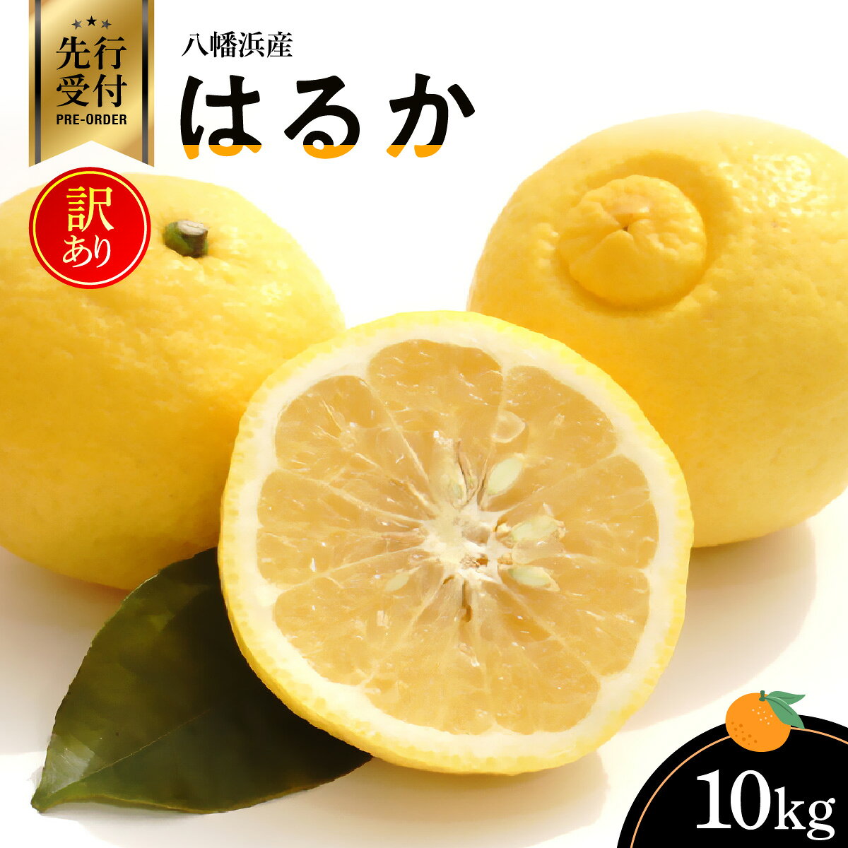 【ふるさと納税】【先行受付】八幡浜産・はるか10kg【訳あり】【C56-42】 訳あり わけあり ワケアリ 訳アリ はるか 柑橘 フルーツ くだもの 果物 青果 ふるーつ 甘い ジューシー 常温 産直 旬 愛媛 季節限定 傷 規格外 【配送不可地域：離島】【1479306】