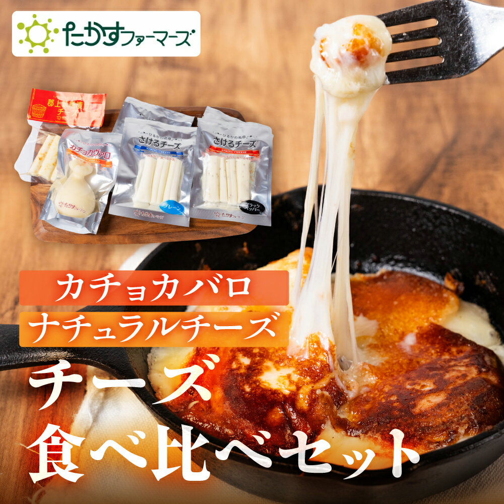 【ふるさと納税】ひるがの高原 チーズセット 食べ比べ ナチュラルチーズ カチョカバロ さける チーズ 乳製品 おつまみ 乳製品セット 郡上市 たかすファーマーズ 10000円