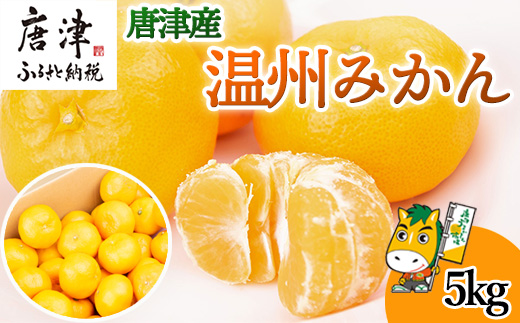 『先行予約』【11月上旬発送予定】唐津産 温州みかん 5kg バラ ハウスみかん ミカン 果物 フルーツ