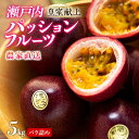 【ふるさと納税】【2025年発送 先行受付】パッションフルーツ バラ詰め 5kg【武富農園】 | 果物 フルーツ 先行予約 数量限定 送料無料 奄美 奄美大島 瀬戸内町 鹿児島 鹿児島県 九州 お取り寄せ おすすめ