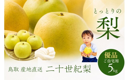 
                  鳥取県産 梨 優品 ご自宅用 二十世紀梨 5kg 【鳥取県 境港市】
                