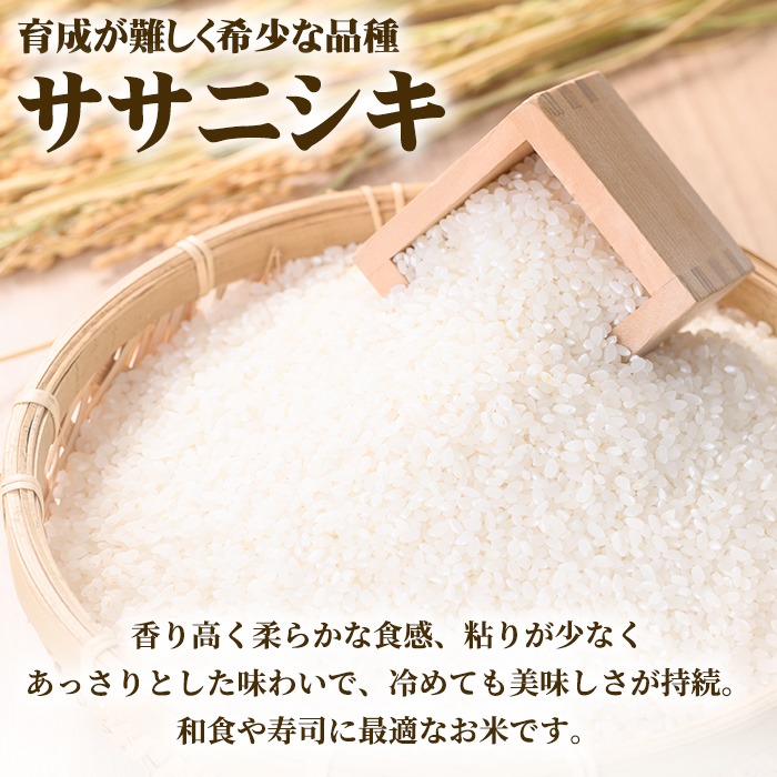 【令和7年産 新米】しばたのササニシキ 精米 5kg 柴田町産 お米 おこめ 米 コメ 白米 ご飯 ごはん おにぎり お弁当 ささにしき【しばたの未来株式会社】sh138