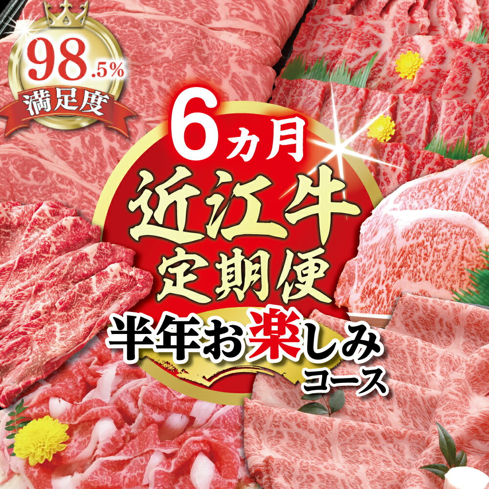 【ふるさと納税】【期間限定】特選近江牛定期便（6カ月）半年お楽しみコース 国産 牛肉 近江牛 ブランド牛 日本三大和牛 肩ロース すき焼き 切り落とし モモ バラ 焼肉 サーロインステーキ ロース