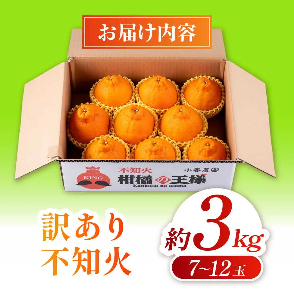 先行予約 訳あり 柑橘の王様 ハウス栽培 不知火 デコポン 約3kg（7～12玉）[ZBN008]