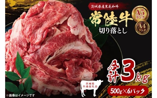 【茨城県共通返礼品】常陸牛切り落とし3kg（500g×6）｜ブランド牛 銘柄牛 和牛 黒毛和牛 国産 A5・A4ランク 等級 お肉 牛肉 牛丼 すき焼き 炒め物 小分け 茨城県 大子町（DD015）