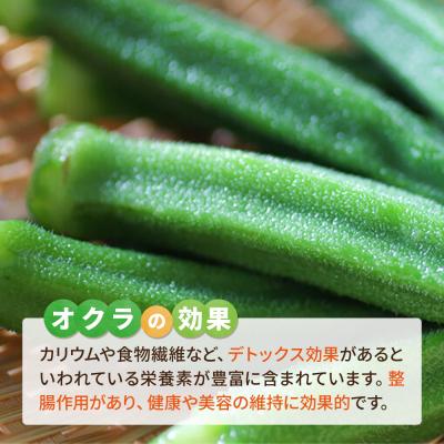 ふるさと納税 糸島市 オクラ 1kg 冷凍 旬の時期に急速冷凍 【福岡県糸島産】 [AGE054] |  | 03