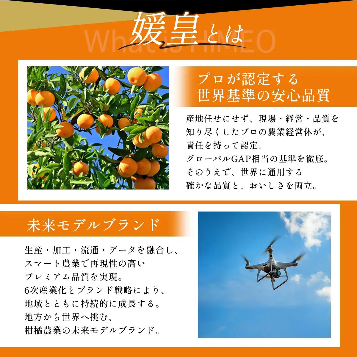 【先行受付】最高級みかん 媛皇 甘平×まどんな 2kg「紅プリンセス」と同品種 愛媛果試48号【E25-340】【1715551】 YWTAP281