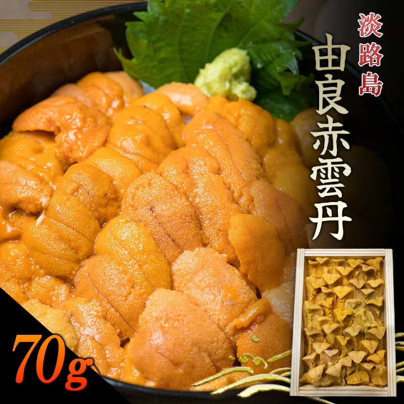 【ふるさと納税】淡路島　由良赤雲丹　1枚 兵庫県 洲本市 淡路島　お届け：2026年8月初旬～9月下旬