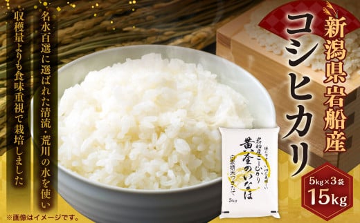 【令和7年産米】自然豊かな風土が育んだ新潟村上市岩船産コシヒカリ15kg（5kg×3袋）　C4023