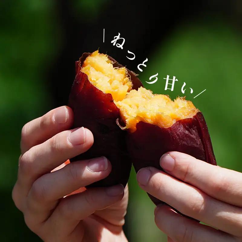焼き芋 冷凍焼き芋 約1kg さつまいも Viimo 美芋【VIM001】