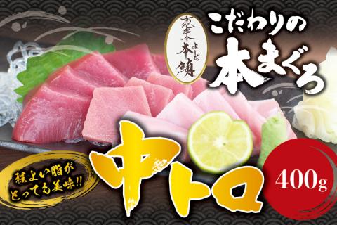 本マグロ 中とろ 400gサク 「プレミア和歌山認定」 和歌山県でも指折りの好漁場で養殖された本鮪！ 南紀串本よしだ本鮪【mhs101A】