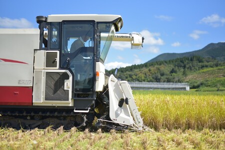 ＜高橋さん家のおいしいお米 5kg＞ 国産 白米 ライス ひなた米 精米 主食 ご飯 おにぎり 備蓄 防災 保存 ご飯 粒 ツヤツヤ 粘り あまみ 甘み お弁当 お昼 おこめ 内容量 5キロ 10キロ