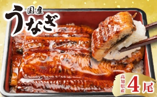 厳選 高知県産うなぎ 4尾 うなぎ蒲焼き 国産 特製タレ 電子レンジ 解凍 簡単調理 ふんわり柔らか 旨味 風味 香ばしい 職人手焼き 1尾 170g 180g とっと家 うな重 土用の丑の日 夏バテ対策 スタミナ食 ギフト 贈り物 お取り寄せ グルメ 高級 うなぎ料理 こだわり うな丼 安芸市 高知県