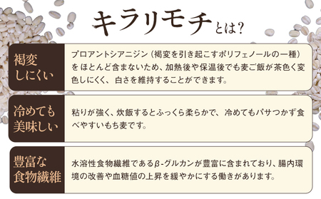 もち麦 令和7年産 キラリモチ 500g 結城市産 けいいちろう商店 《30日以内に出荷予定(土日祝除く）》茨城県 結城市 もち麦 米 こめ コメ 麦 ご飯 お弁当
