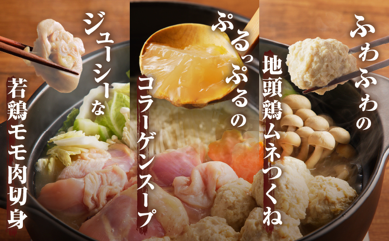 みやざき郷土料理セット(合計2.2kg以上) 肉 鶏 鶏肉 鍋 国産_T017-0045