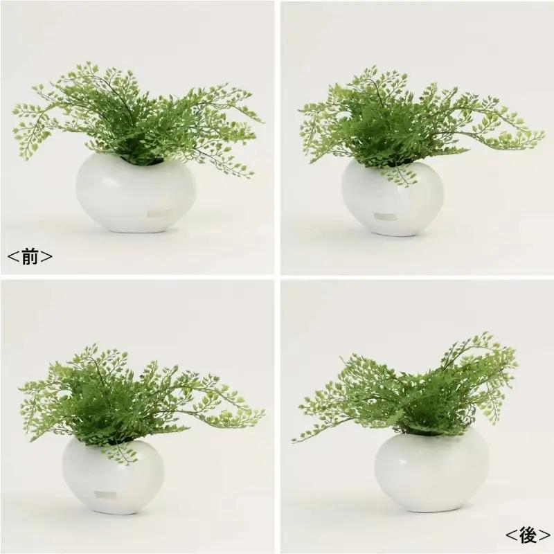 エミリオ・ロバ アジアンタム アーティフィシャルグリーン 造花 観葉植物 水やり不要 インテリア