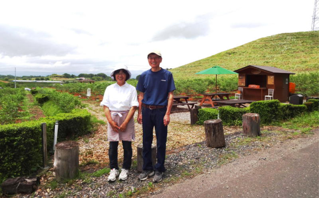 ブルーベリー70%果汁入り飲料（無糖）500ml×3本セット　【福島県三春町　かおるブルーベリー園産使用】　【07521-0154】