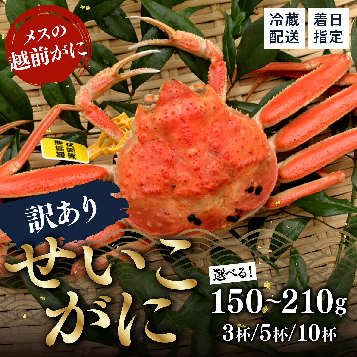 【ふるさと納税】【先行予約】【選べるサイズ・杯数！】【訳あり】北陸の冬の味覚の王者！越前がに（メス）「せいこがに」150g / 180g / 210g前後 × 3杯 ~ 10杯 [H-11008] / 越前がに かに カニ 蟹 せいこがに セイコガニ ギフト グルメ 冷蔵 福井県鯖江市