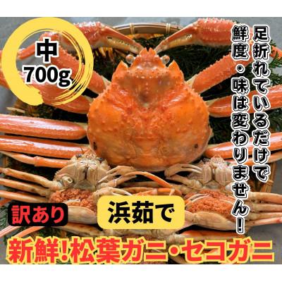 ふるさと納税 岩美町 鳥取網代港【訳あり】浜茹で!松葉ガニ・セコガニセット(中)【さかなや新鮮組】