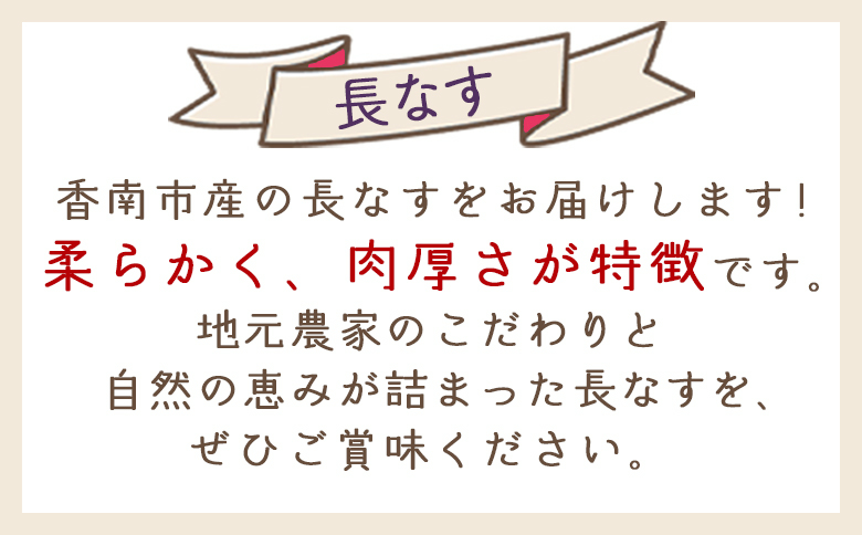 【2025年10月中旬以降発送】長なす 3kg 家庭用 - 国産 茄子 なすび 野菜 青果 肉厚 煮物 漬物 焼きなす 麻婆 訳あり ご家庭用 不揃い 傷 やすらぎ市 高知県 香南市 常温 yr-00