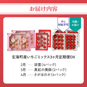 【3回定期便】玄海町産いちご ミックス定期便DX ／ さがほのか 淡雪 真紅の美鈴 フルーツ【Z055】