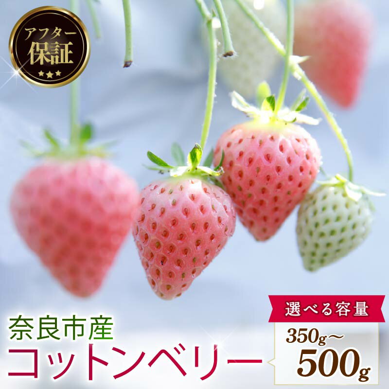 【ふるさと納税】 いちご 先行予約 数量限定 コットンベリー 約500g 250g × 2P 約350g 新鮮 産地直送 厳選 2026年2月以降発送 旬 ブランド イチゴ 苺 フルーツ 果物 くだもの 国産 限定 ベリー 贈答用 デザート スイーツ ギフト プレゼント 季節 特産品 奈良市 奈良県