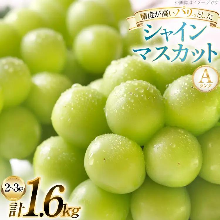 【期間限定発送】 シャインマスカット Aランク 2～3房1.6kg [田制農園 山形県 高畠町 tk06ayt230005]