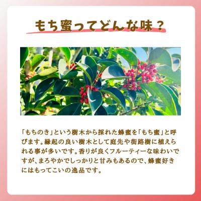 ふるさと納税 大牟田市 みつばちの雫　国産もち蜂蜜　500g+300g |  | 01