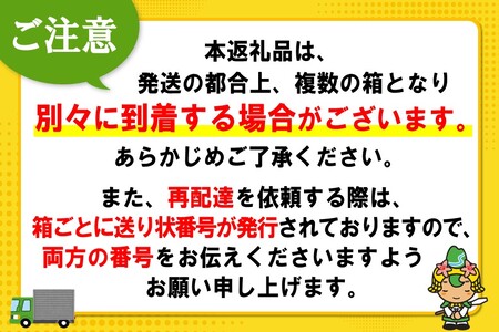 コカ・コーラ 350ml缶 (2ケース) 計48本【コカコーラ コーラ コーク 炭酸飲料 炭酸 缶 350 コークハイ シュワシュワ バーベキュー】A7-A090028