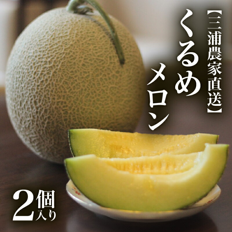 【ふるさと納税】 三浦農家直送 くるめメロン 2個入り メロン 緑肉 フルーツ 果物 果実 期間限定 数量限定 限定 甘い あまい 美味しい おいしい 採れたて 直送 めろん 旬の果物 贈答 ヤマイチ農園 ふるさと納税 神奈川 三浦市 おすすめ ランキング プレゼント ギフト
