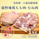 【ふるさと納税】1363 ＜鳥取県産＞鹿野地鶏もも肉・むね肉セット 1kg(鳥取マーケット)　　鳥取　送料無料