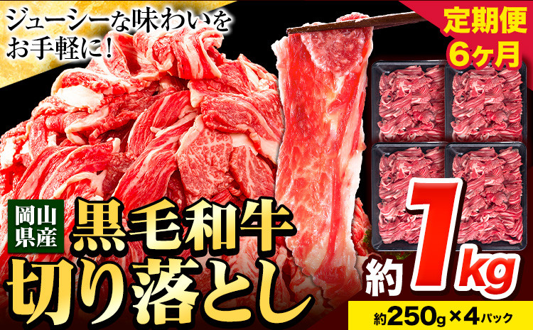 
牛肉【6ヶ月定期便】 肉 黒毛和牛 切り落とし 訳あり 大容量 小分け 1kg 1パック 250g 定期便《お申込み月翌月から出荷開始》岡山県産 岡山県 笠岡市 お肉 にく カレー 牛丼 切り落し 切落し
