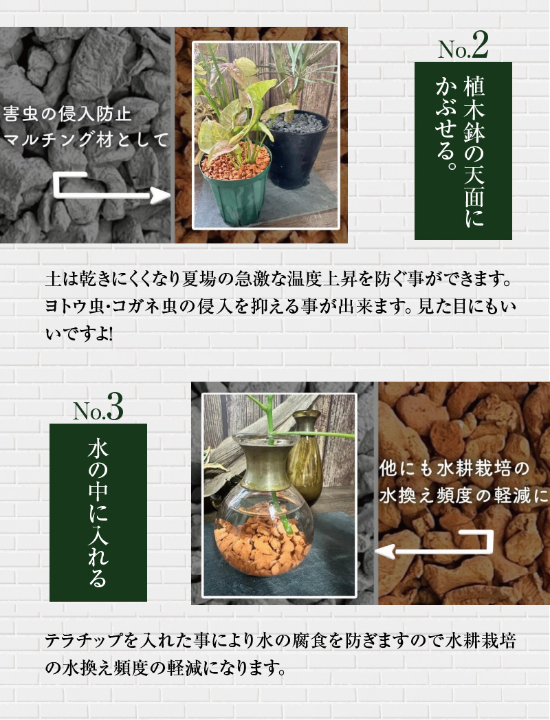 三河焼植木鉢ダークシルバー【テラチップ赤焼】プランター お手軽植物栽培セット H188-002