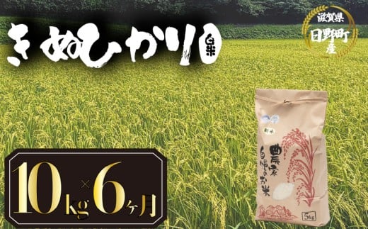 【 令和7年産 新米 10kg 定期便 6ヶ月 】 きぬひかり 米 白米 国産 滋賀県 日野町 農家直送 お米 おこめ こめ 産地直送 ふるさと納税
