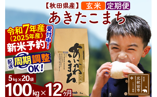 ※令和7年産 新米予約※《定期便12ヶ月》秋田県産 あきたこまち 100kg【玄米】(5kg小分け袋) 2025年産 お届け周期調整可能 隔月に調整OK お米 藤岡農産