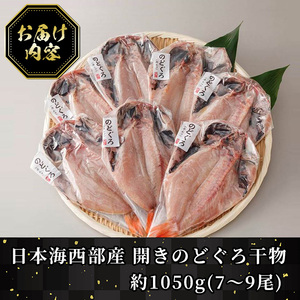 日本海西部産 開きのどぐろ干物B(1050g・7～9尾)干物 ひもの 旬 のどぐろ 鮮魚 魚 魚介 海鮮 海の幸 お取り寄せ 贈答用 ギフト おつまみ セット 水産加工 高級【T-AN3】【大山ブラン