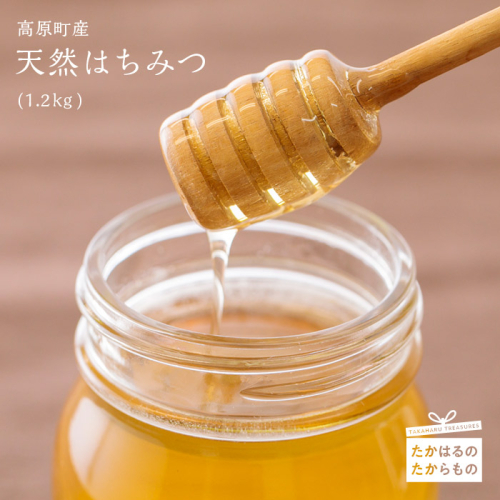 高原町産天然はちみつ 1.2kg(600g×1本) 国産のおいしい蜂蜜 ワンストップオンライン対応 TF0269-P00011