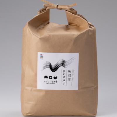 ふるさと納税 十日町市 【令和7年産】　魚沼産コシヒカリ5kg