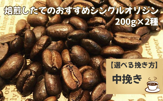 焙煎したてのおすすめシングルオリジン 200g×2種（中挽き） No.170-03