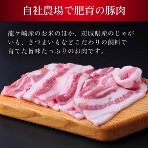 龍ケ崎のお米を食べて育った常陽さん家の美味豚(SPF豚) 豚バラ 焼肉用 2kg | 国産 バラ バラ肉 ロース 豚 SPF SPF豚 豚肉 焼肉 バーベキュー しゃぶしゃぶ 肉 にく 肉類 ポーク 