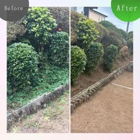 実家・空き家の草刈り・草取り・剪定(大牟田市)【1739304】